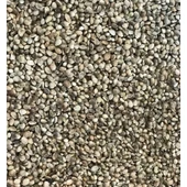 Çedene (Kendir)Tohumu (Kg) - 1