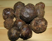 Saf Propolis İşlenmemiş (Kg) - 1