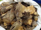 Uçkun Kökü (Kg) thumbnail 1