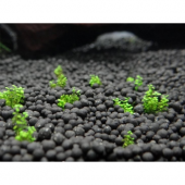 İthal Akvaryum Bitki Kumu Gübre Katkılı Yuvarlak Kum Siyah 1 kg - 1