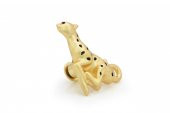 Leopar & Tropikal Yaprak Broş Seti - 3