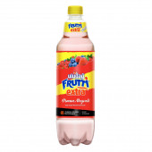 ULUDAĞ FRUTTİ EXTRA ORMAN MEYVELİ PET 300 ML - 1