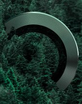 Apple iPhone 11 Pro CL-02 Kamera Lens Koruyucu thumbnail 11