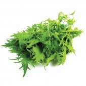 Doğal Brassica Rapa Japonica Green Mizuna Fidesi (5 adet) - 1