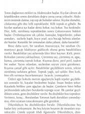 İNCE MEMED 1-2-3-4 (DELTA) - 7