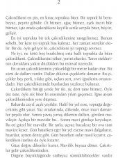 İNCE MEMED 1-2-3-4 (DELTA) - 9