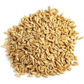İç Yulaf Kuş Yemi 1 KG - 1