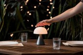 Lexon Mina L Led Lamba - 4