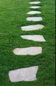 Master Lawn 5 Mix Karışım Çim Tohumu 10 kg - 4
