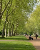 Lawn&Art Xeriscape Mix Çayır Mera Çim Tohumu Karışımı 10 kg - 4