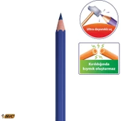 Bic Kids Evolution Kuru Boya Kalemi 24 Renk - 2