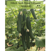 Hibrit Sırık Salatalık Tohumu 10 Adet F1 Nasuhi Hibrit Hıyar Tohumu - 1