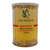 Doğan Baharatçılık Öğütülmüş Zencefil Teneke 150Gr Saf Doğal Toz - 2