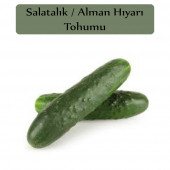 Alman Hıyarı Tohumu 1 Paket Dikenli Alman Salatalık Tohumu - 1