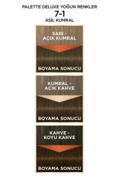 Palette Deluxe Saç Boyası 7.1 Asil Kumral - 3