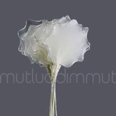 Badem Şekeri İçin Kıvrımlı Raket 72 Adet - 1