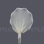 Badem Şekeri İçin Kıvrımlı Raket 72 Adet - 5