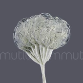 Simli Raket 72 Adet - 3