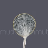 Parlak Raket 72 Adet - 3