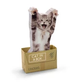 Mustard Cat in a Box - 2