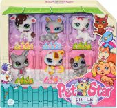 Minik Pet Star Seti 6lı 0827 - 2