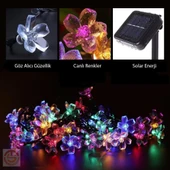 Solar 30 Ledli Çiçekli RGB Bahçe Aydınlatma Dekorasyon Güneş Enerjili - 2