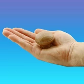 Alya Düğme Mobilya Mutfak Dolap Dolabı Çekmece Kulpu Kulbu Plastik Kahverengi Ceviz Tek Vidalı Kulp - 5