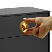 Alita Düğme Mobilya Mutfak Dolap Dolabı Çekmece Kulpu Kulbu Plastik Gold Altın Tek Vidalı Kulpları thumbnail 3