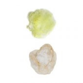 Trina Saç Filesi Sarı İnce -072 - 1