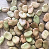 naturalköyürünleri Kuru Bakla 25 KG - 2