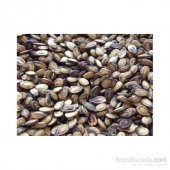 KARPUZ ÇEKİRDEĞİ250 GR - 1