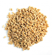 naturalköyürünleri YERLİ BUĞDAY 10 KG - 1