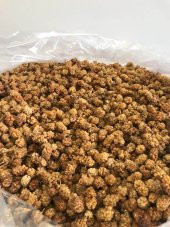 Malatya Dut Kurusu 500 Gr - 1