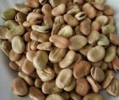KURU BAKLA  1 KG - 1