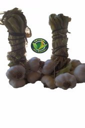 naturalköyürünleri MARAŞ SARIMSAK İRİ BOY 5 KG - 1