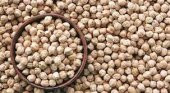 ANTEP NOHUT 5 KG - 1