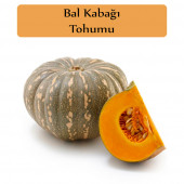 Bal Kabağı Tohumu 1 Paket Kabak Tohumu - 1