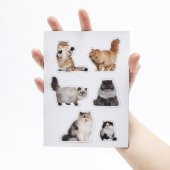 Mustard Cat Magnet - 4