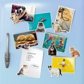 Mustard Cat Magnet - 1