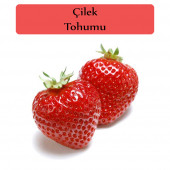 Çilek Tohumu 1 Paket - 1