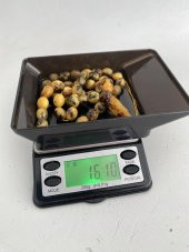 Doğal Kaya Damla Kehribar Tesbih 45lik 4,5x3,5mm 16 Gram - 5