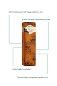 Doğal El Yapımı Kahve Blok Sabunu 1400 Gr - 2