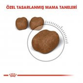 Royal Canin Oral Care Ağız ve Diş Sağlığı İçin Yetişkin Kedi Maması 1,5 kg - 2