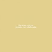 Kaktüs Anahtarlık thumbnail 3