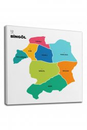 Bingöl İli ve İlçeler Haritası  Dekoratif Kanvas Tablo 1294 - 2