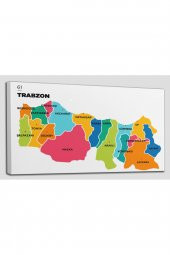 Trabzon İli ve İlçeler Haritası  Dekoratif Kanvas Tablo 1469 - 2