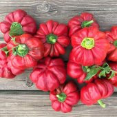 Domates Biberi Tohumu 15+ Tohum thumbnail 2