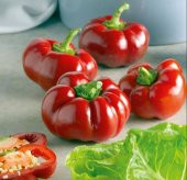 Domates Biberi Tohumu 15+ Tohum thumbnail 3