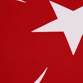 Buket Türk Bayrağı (50X75) - 2