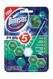 Wc Blok 5Li Güç Çam Ferahlığı 55 G - 1